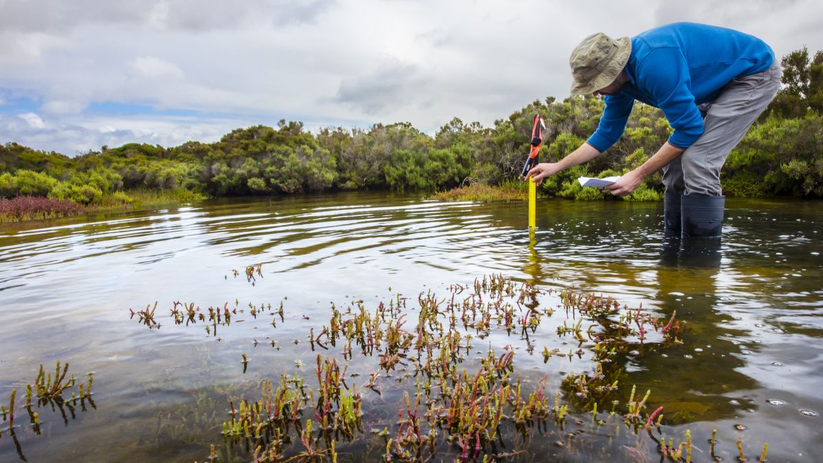 A scientist in rubber boots standing in a pond taking measurements